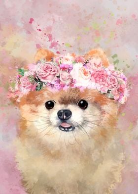 Pomeranian Dog w Flowers