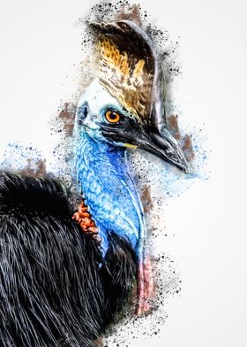 Cassowary