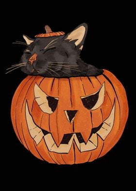 Spooky Cat