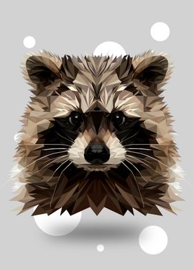 Raccoon