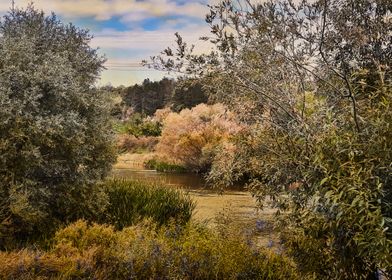 Vintage autumn river scape