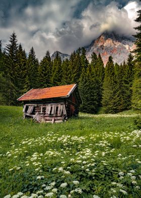 Little hut in Austria