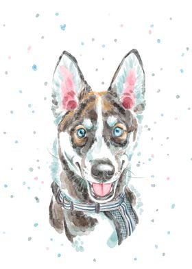 Husky Wolf Dog Watercolor