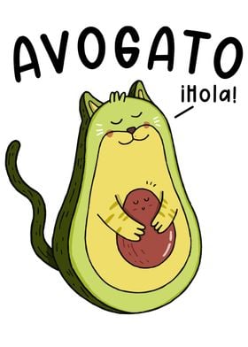 Avogato Cat