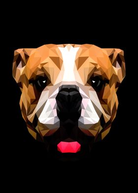 Bulldog