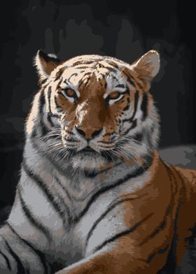 majestic tiger