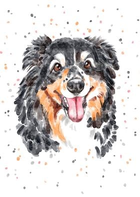 Watercolor collie dog 