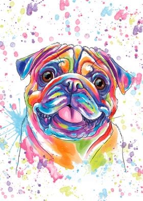 Colored watercolor pug dog