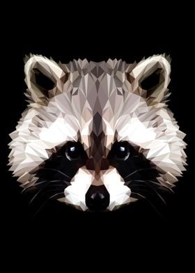 Raccoon