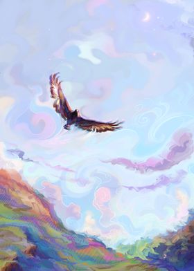 Soaring