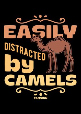 Easily Distracted By Camel