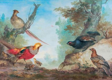 Pheasants ca 1730