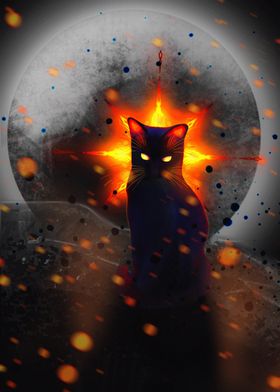 Warrior Cat