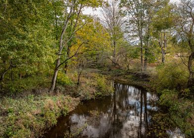 Autumn at Mill Creek