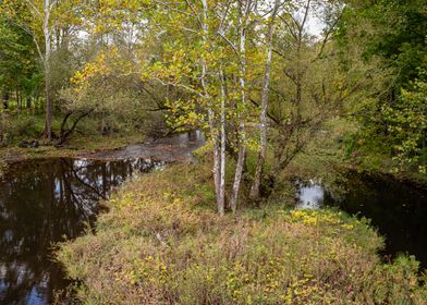 Autumn at Mill Creek