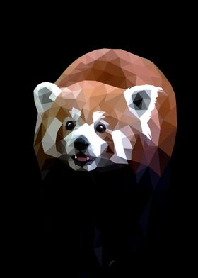 Red Panda