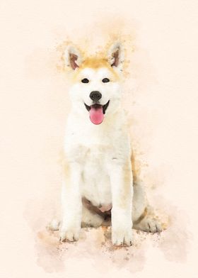 Akita inu Dog