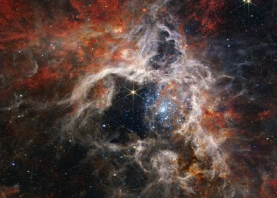 JWST Tarantula Nebula