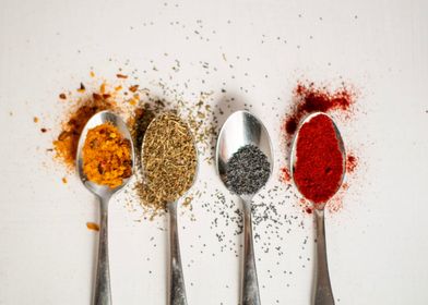 Spices in Indian Cuisine