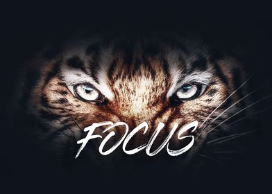 Focus