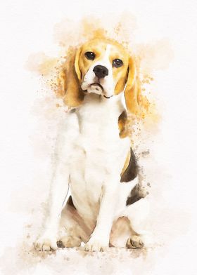 Beagles dog 