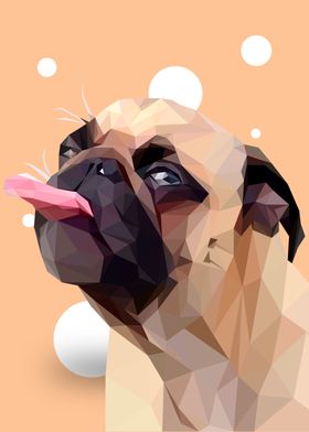 Pug