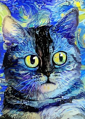 Starry Night Tabby Cat