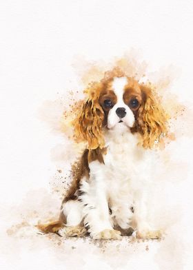 charles spaniel dog