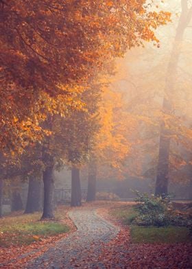 Autumn misty path in park