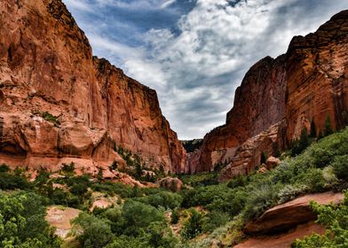 Zion Park Orange Landscape