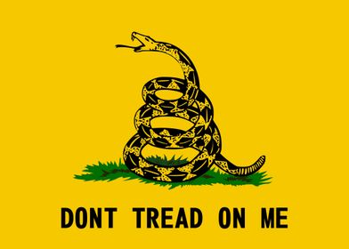 dont tread on me flag