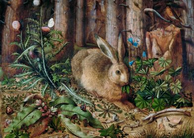 A Hare in the Forest 1585