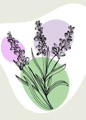 Modern Lavender flower nat