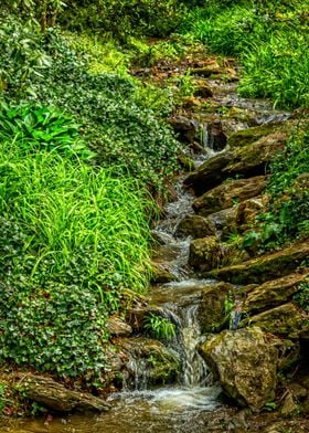 Small Mountain Waterfall