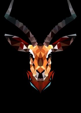 Antelope