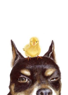 Dog with chick