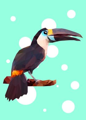 Hornbill