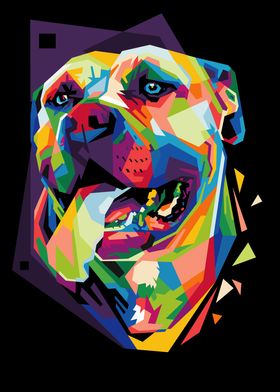 colorful dog head 