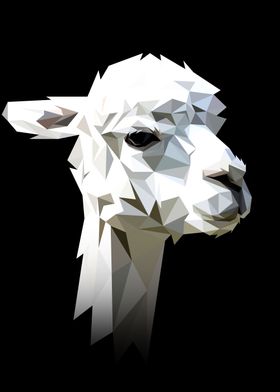 Alpaca