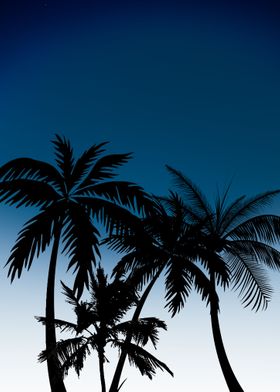 Palm Trees