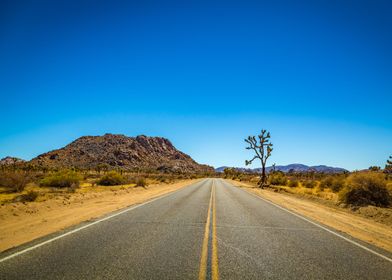 Joshua Tree National Park