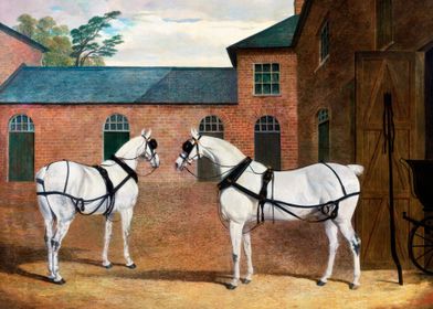 Grey carriage horses 1838