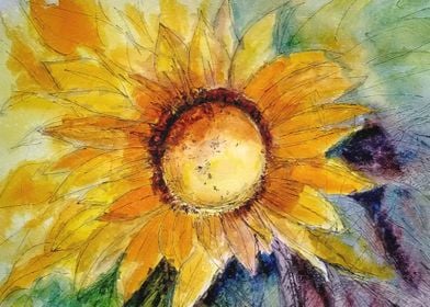 Shining Sunflower