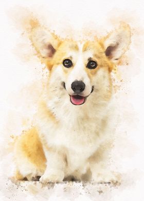 corgi pembroke Dog