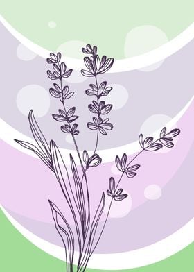 Lavender  Minimalist 