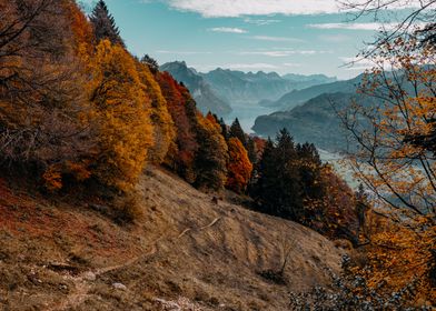 Autumn Valley Switzerland