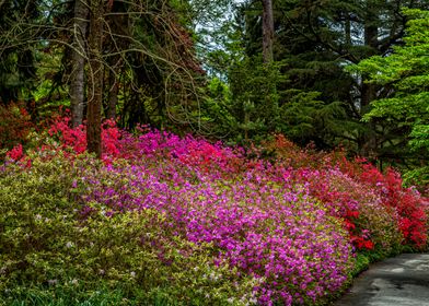 Biltmore Gardens