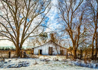 Abandoned Shed in the Snow