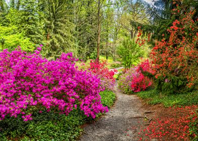 Biltmore Gardens