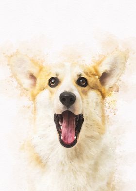 corgi pembroke Dog